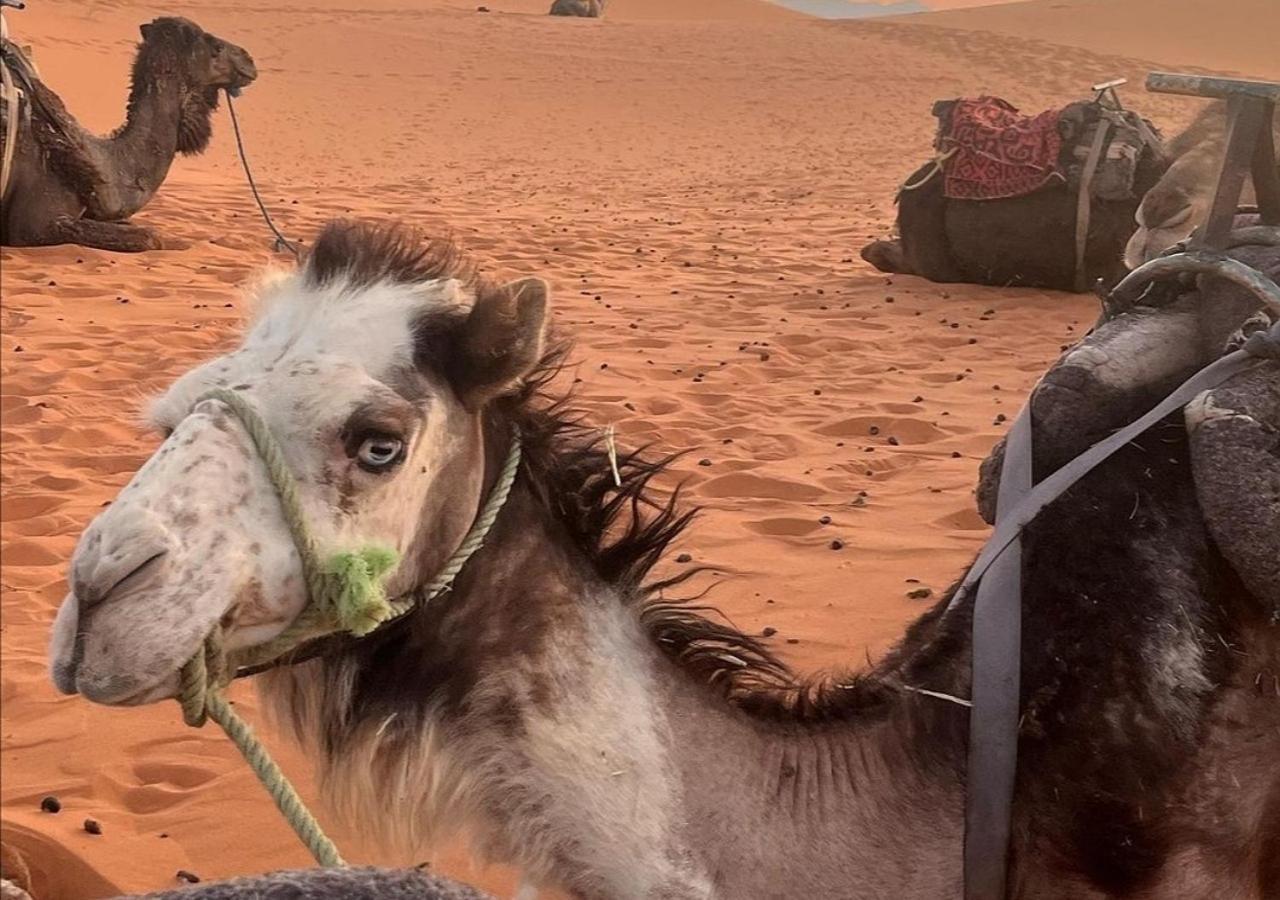Amazing Luxury Camp Hotel Merzouga Buitenkant foto
