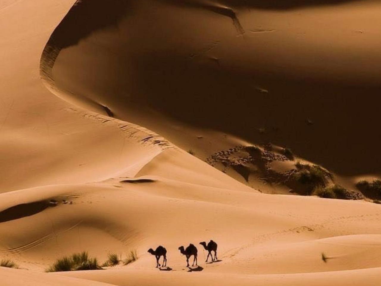 Amazing Luxury Camp Hotel Merzouga Buitenkant foto